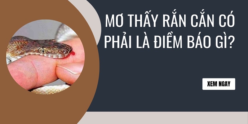 Nội dung mơ thấy rắn cắn bạn nên biết